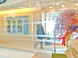 Brain Tumor