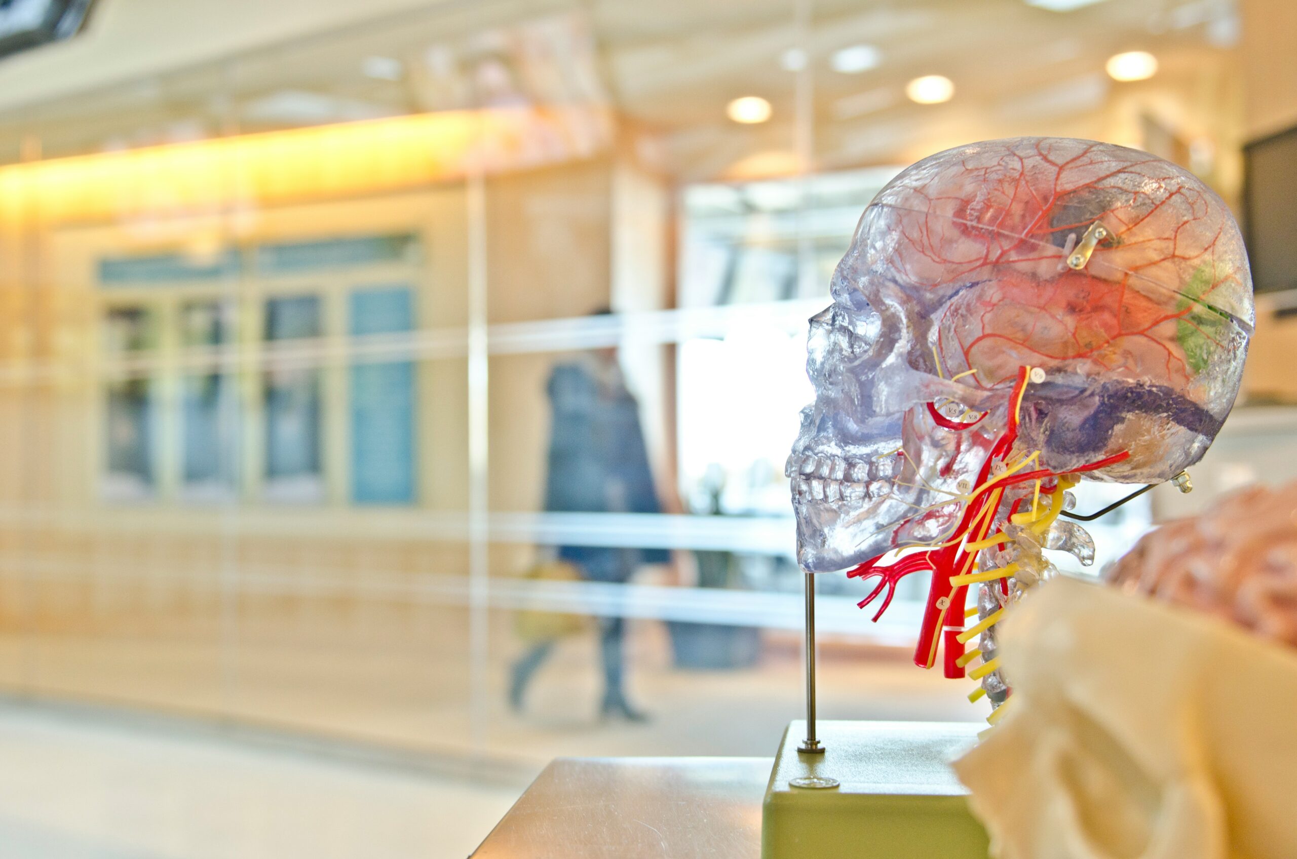 Brain Tumor