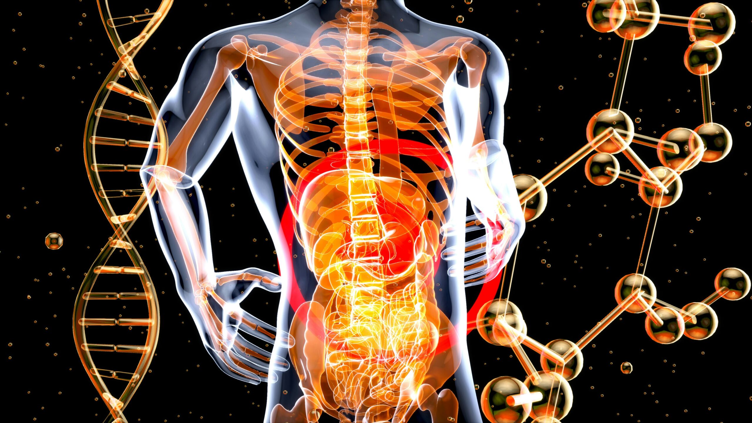 Spine Pain