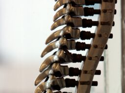 Dr. Rajesh Bindal - Neurosurgery