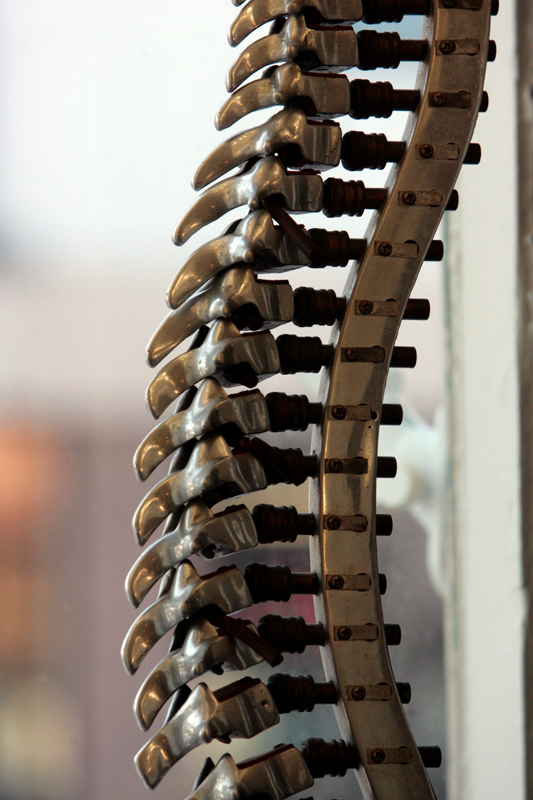 Dr. Rajesh Bindal - Neurosurgery
